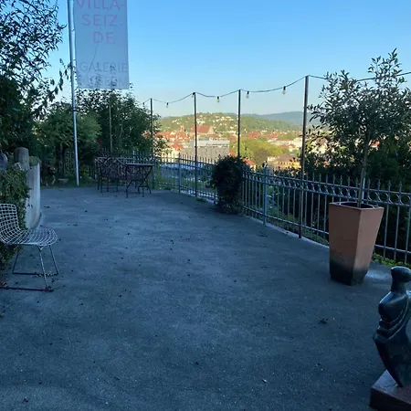 Seiz